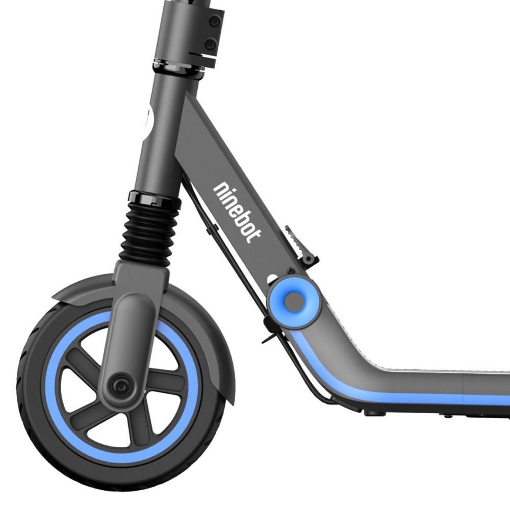 Электросамокат Ninebot eKickScooter Zing E10 5