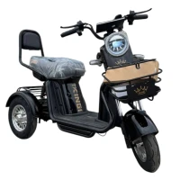 Электротрицикл IKINGI SIBTRIKE T1 Pro